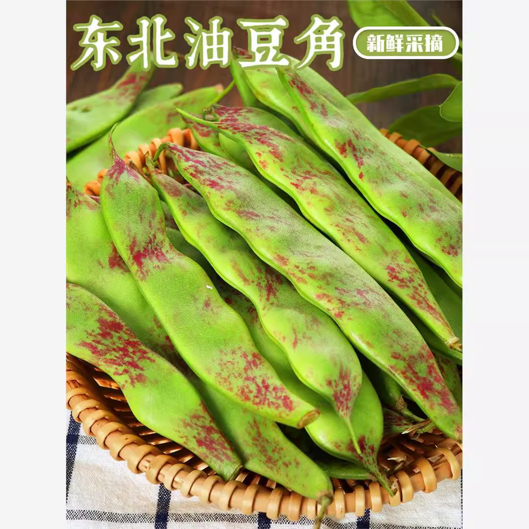 散称小瓶手把鲜香脆豆角