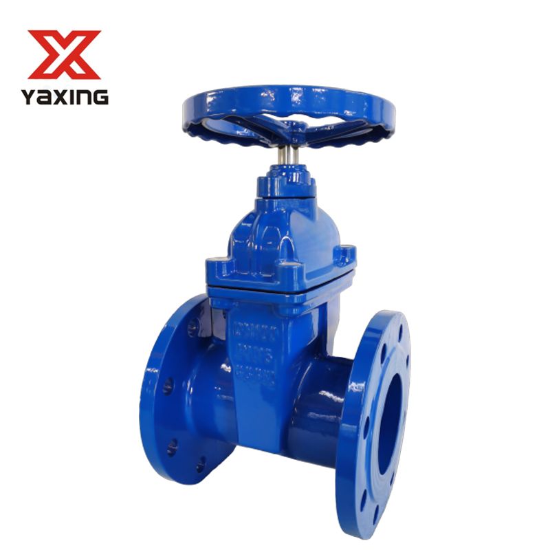 英标闸阀铁盖铜母